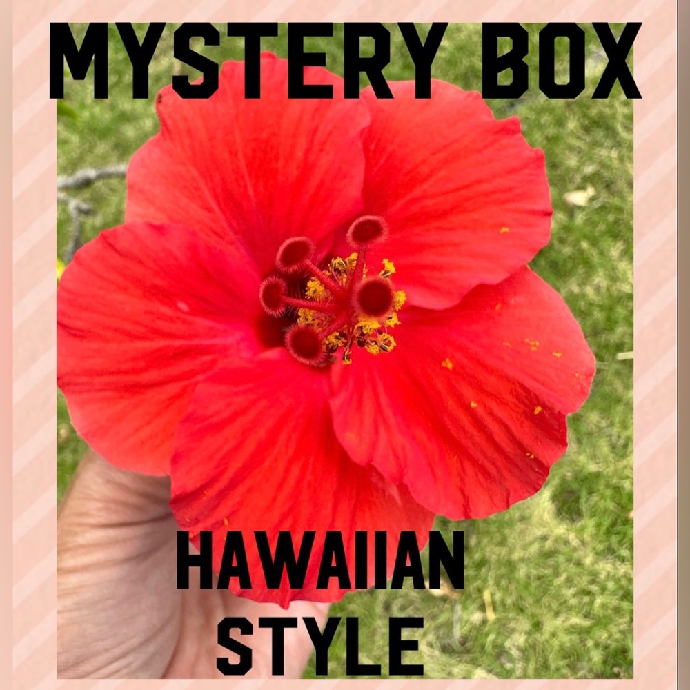 808. MYSTERY BOX HAWAIIAN STYLE Hawaii made Hawaii designed.  From the islands